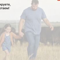 Сельскохозяйственное агентство в городе Мурманск, Мурманск