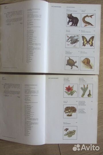 Красная книга СССР-2 тома 1985 год