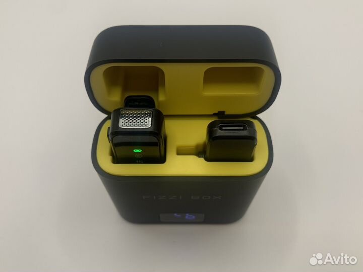 Петличный микрофон Type C