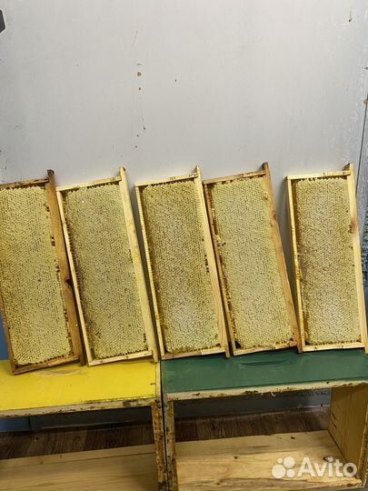 Мёд Сотовый 2023 Оптом