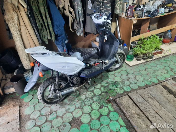 Racer Lupus 50 (100)