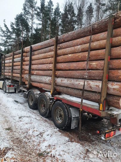 Круглый лес