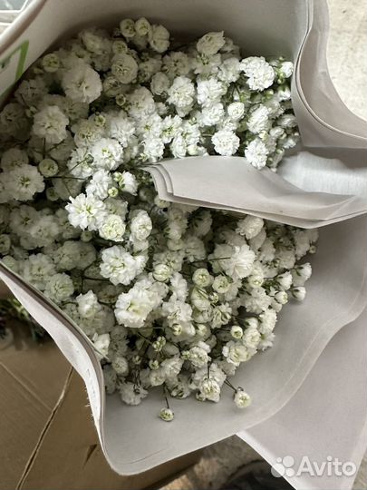 Цветы оптом