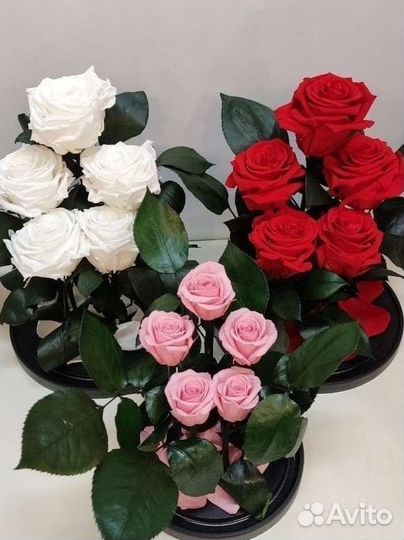 Подарок / Роза в колбе оптом