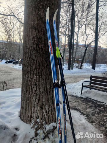 Беговые лыжи