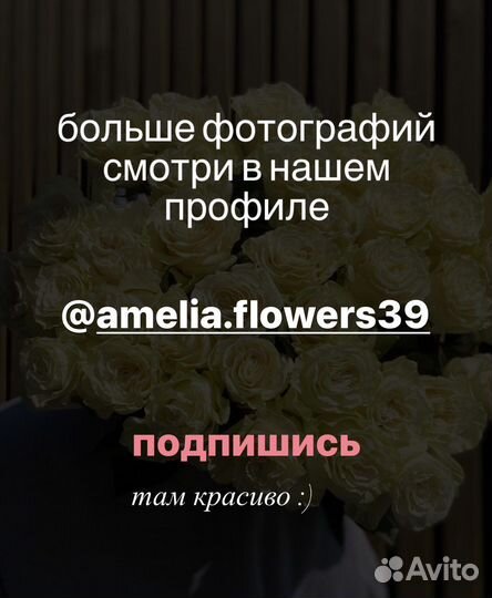 451 роза в виде сердца (Сердце из роз)