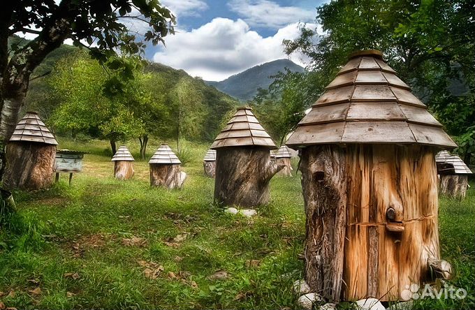Пчелосемьи 30 шт