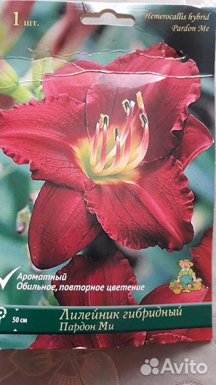 Лилейники сортовые