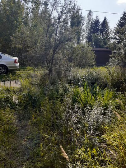 Участок 6 сот. (СНТ, ДНП)