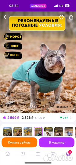 Попона для собак