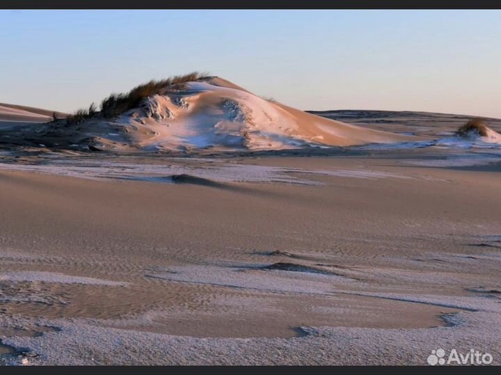 Индивидуальные экскурсии калининград и область