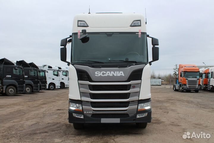 Scania R440 A4X2NA, 2019