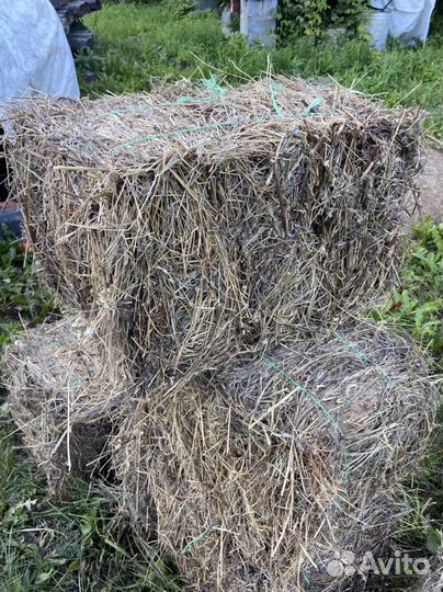 Сено в тючках