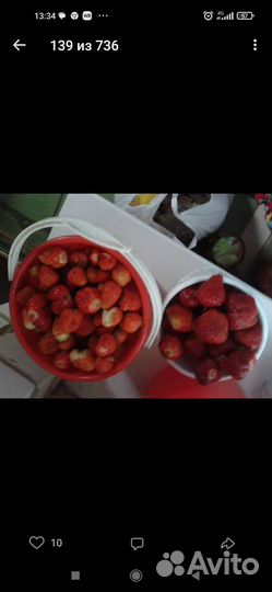 Рассада, Клубники и перец, Вишня