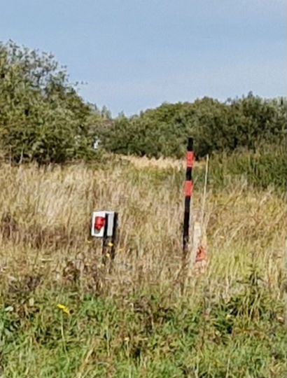 Участок 6 га (СНТ, ДНП)