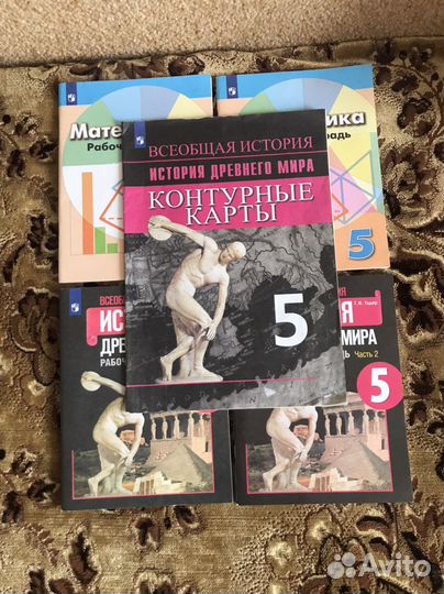 Рабочие тетради 5 класс