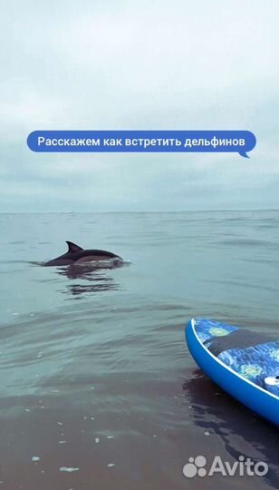 Доска для сап сёрфинга (sup board) аренда сапборда