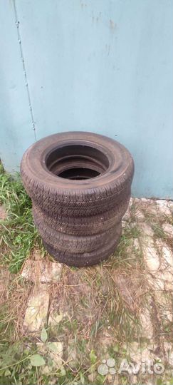 Berlin All Season 1 175/70 R13