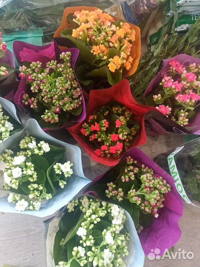 Роза и гипсофила в Томске с доставкой