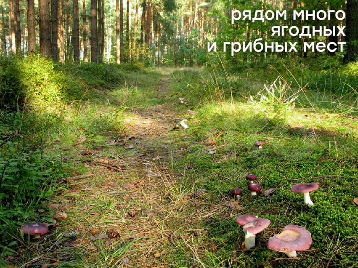 Участок 10 сот. (ИЖС)