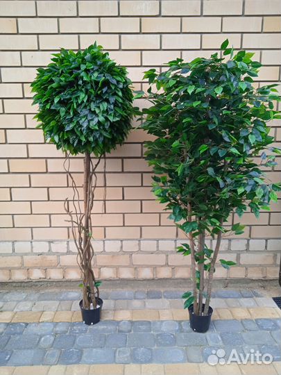 Искусственные растения для декора