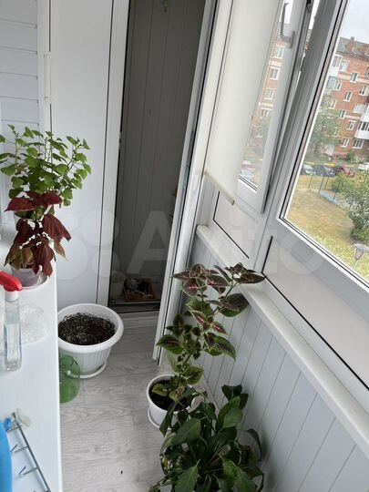 1-к. квартира, 33,1 м², 4/5 эт.