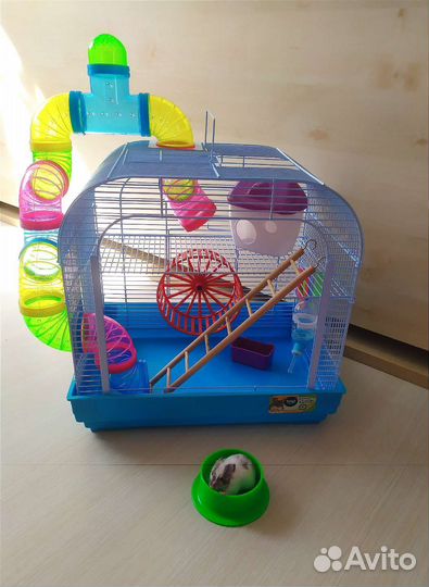 Джунгарский хомяк, клетка