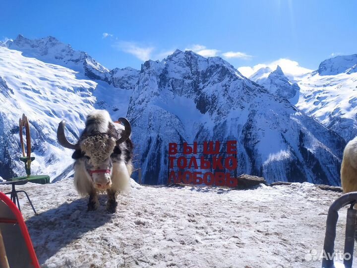 Экскурсии Домбай, Эльбрус, Актопрак