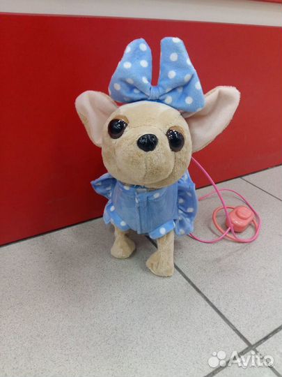 Собачка чичилав без сумки