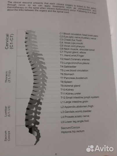Массажная кровать lux tag