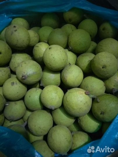 Чёрный орех