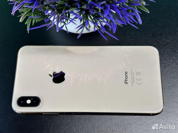 iPhone Xs Max, 256 ГБ