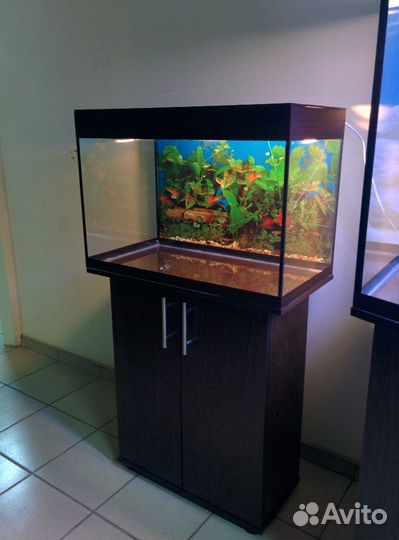Аквариум 100 свет биофильтр фон подставка
