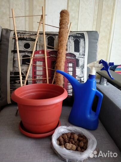 Набор для растения