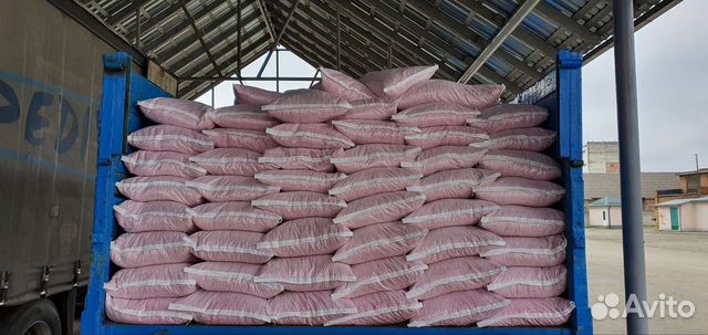 Семена кукурузы краснодарский 291 амв F1