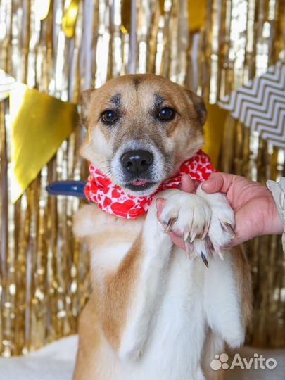 Шейла заслуживает расти в семье