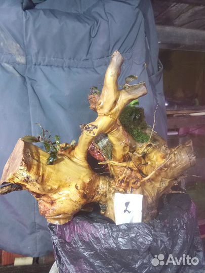 Коряги для аквариума