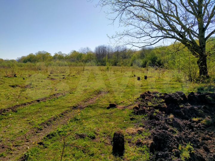 Участок 100 сот. (СНТ, ДНП)