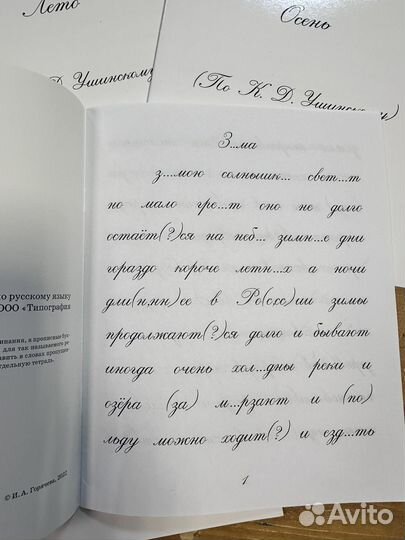 Рабочие тетради и прописи ркш