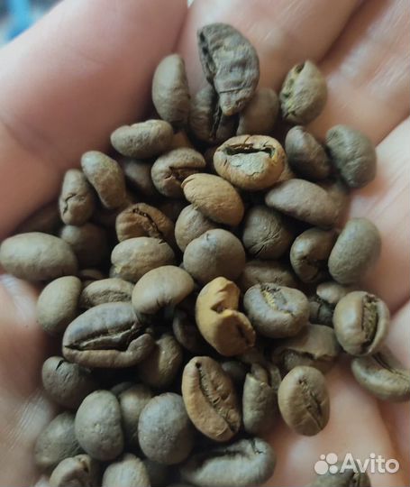 Кофе в зернах 1 кг арабика