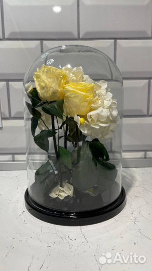 Живая роза в Колбе