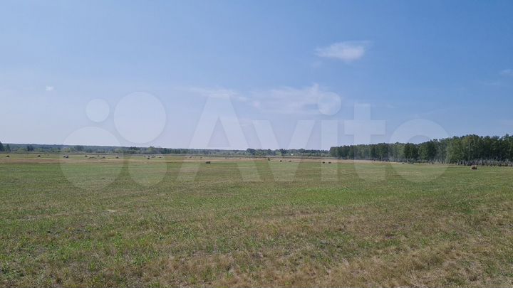 Участок 4,1 га (СНТ, ДНП)