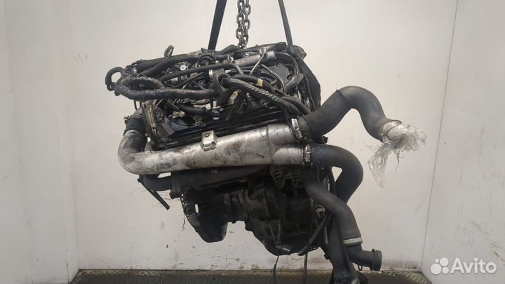 Двигатель Volkswagen Touareg BKS 3 Дизель, 2008