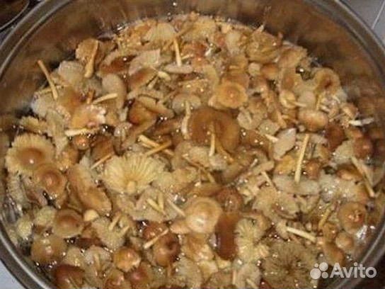 Грибы маринованные