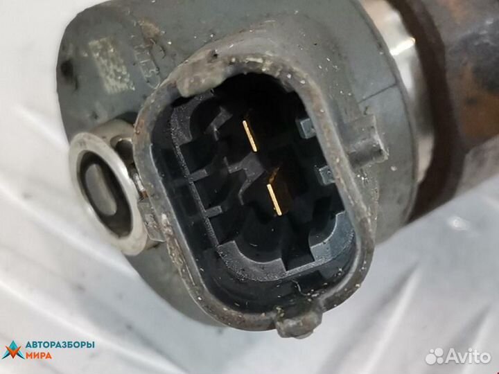 Форсунка Peugeot 206 рест. 2005 0445110259