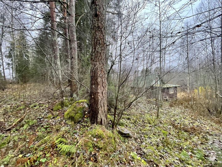 Дача 35 м² на участке 7 сот.