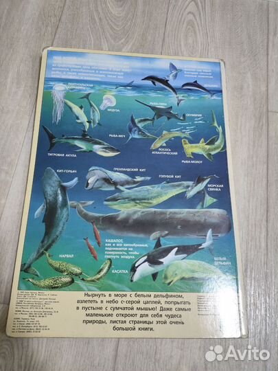 Продам книги для детей