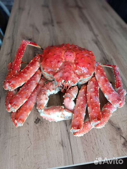 Краб цельный подарочный Камчатка