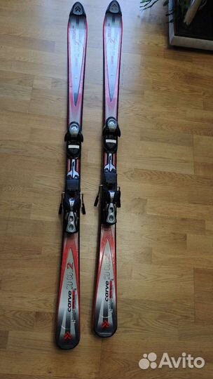 Горные лыжи tecno pro carve 30.2