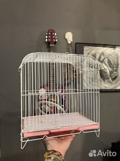 Клетка для птиц